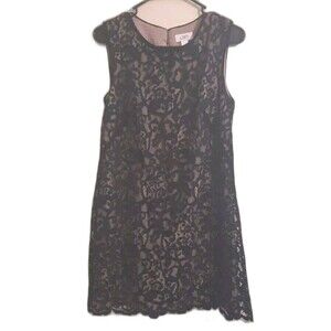 Ann Taylor Loft Black Lace Sheath Dress – Size 8 – Keyhole Back, Lined, Elegant